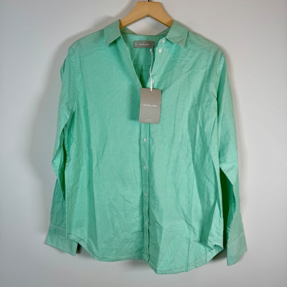 Everlane The Silky Cotton Relaxed Micro Pinstripe Button Up Shirt Top NEW NWT 6 - Picture 1 of 3